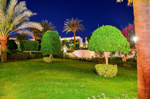 Hermosa noche árabe en un hotel de Egipto Sharm elSheikh