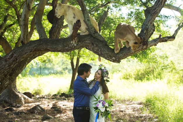 Hermosa novia y el novio con dos leonas en la naturaleza