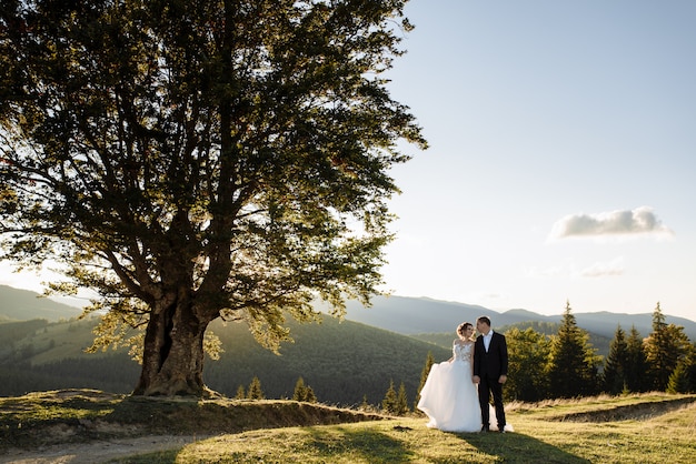 Hermosa novia y el novio en las montañas