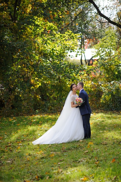 Hermosa novia y el novio en el parque verde