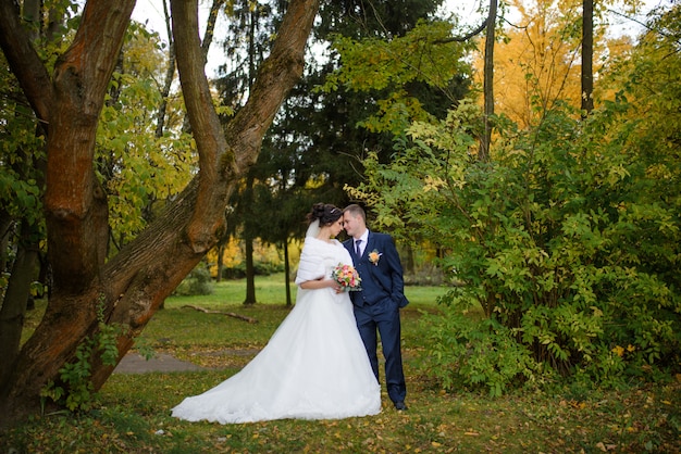 Hermosa novia y el novio en el parque verde