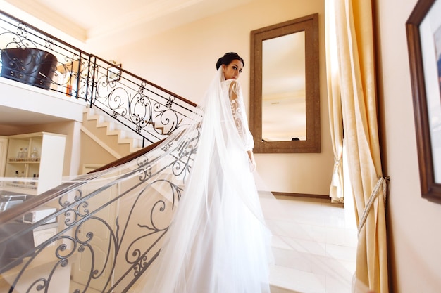 Hermosa novia en vestido de novia de moda con velo largo de lujo impresionante joven novia es increíblemente