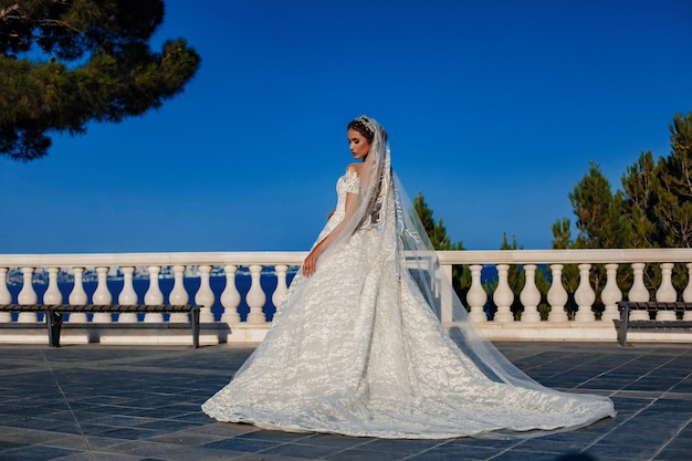 Hermosa novia en vestido de novia