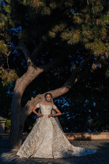 Hermosa novia en vestido de novia