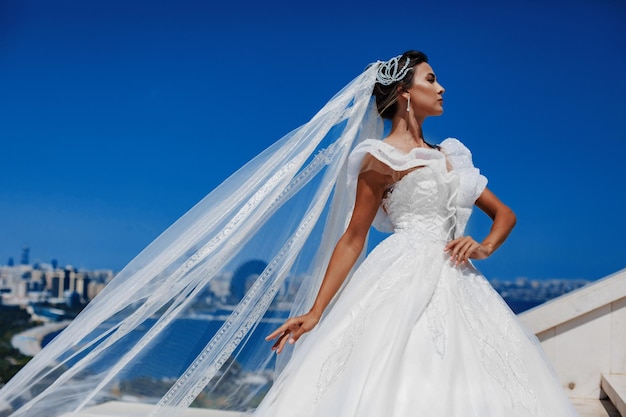 Hermosa novia en vestido de novia