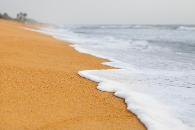 Hermosa ola de mar en la playa de Sri Lanka.