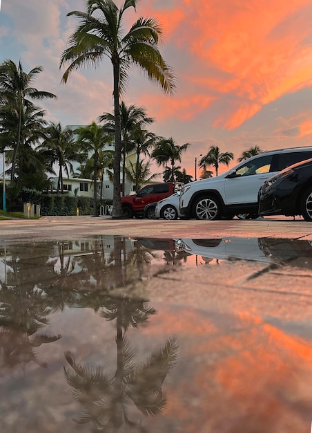 Hermosa palmera de coco con un increíble cielo vívido al atardecer