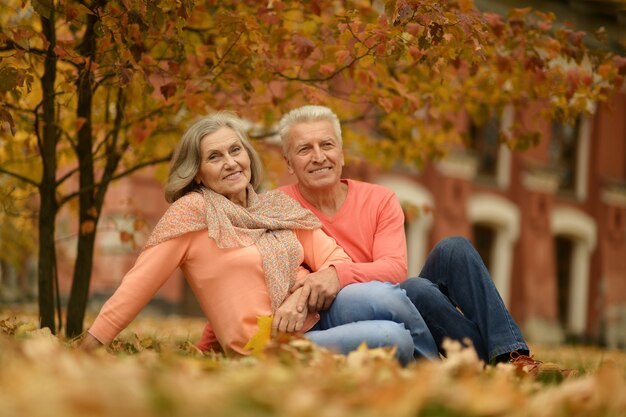 Hermosa pareja de ancianos caucásicos en el parque en otoño