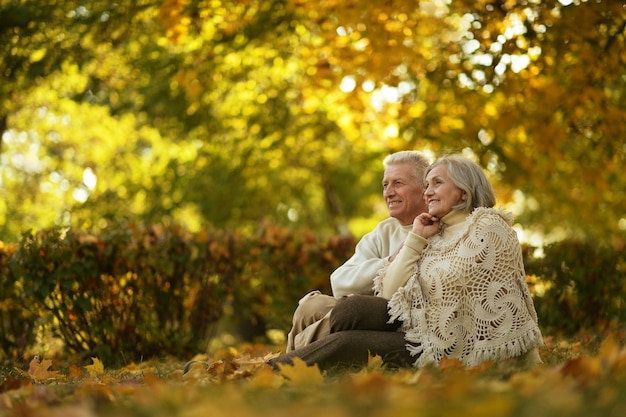 Hermosa pareja de ancianos caucásicos en el parque en otoño