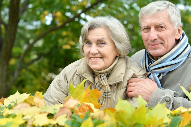 Hermosa pareja de ancianos caucásicos en el parque en otoño