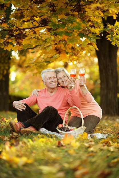 Hermosa pareja de ancianos caucásicos en el parque en otoño