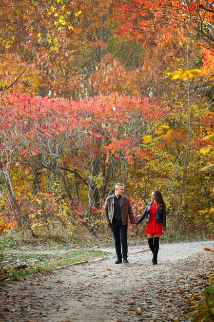 Hermosa pareja en el bosque de otoño