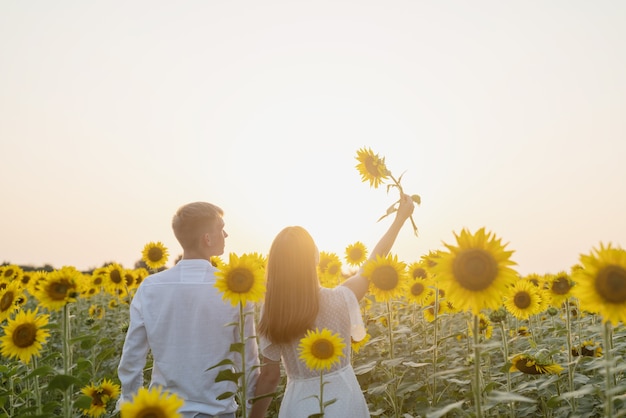 Hermosa pareja divirtiéndose en campos de girasoles