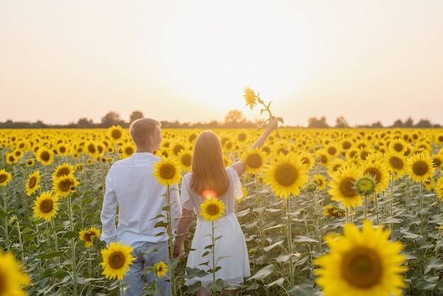 Hermosa pareja divirtiéndose en campos de girasoles