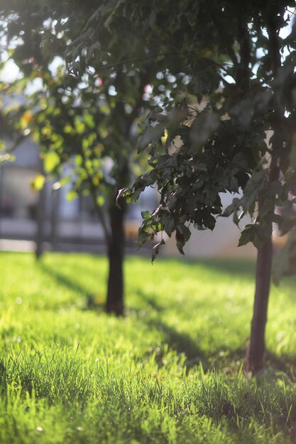 Hermosa pareja joven en cita en el parque durante el díaxA