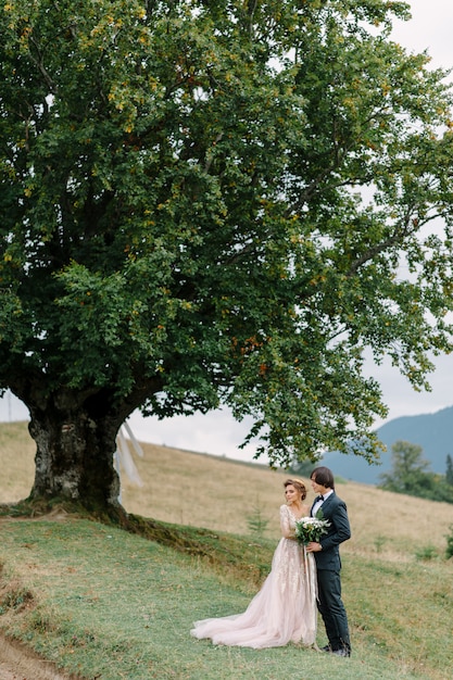 Hermosa pareja de novios besándose y abrazándose cerca de la orilla de un río de montaña con piedras