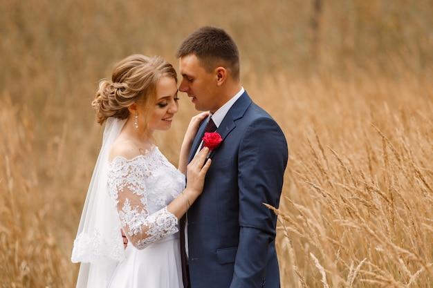 Hermosa pareja de novios en un paseo por el campo de trigo. Retrato de recién casados sonrientes en el día soleado de verano. feliz novia y el novio besándose y abrazándose en hierba amarilla o dorada. día de la boda