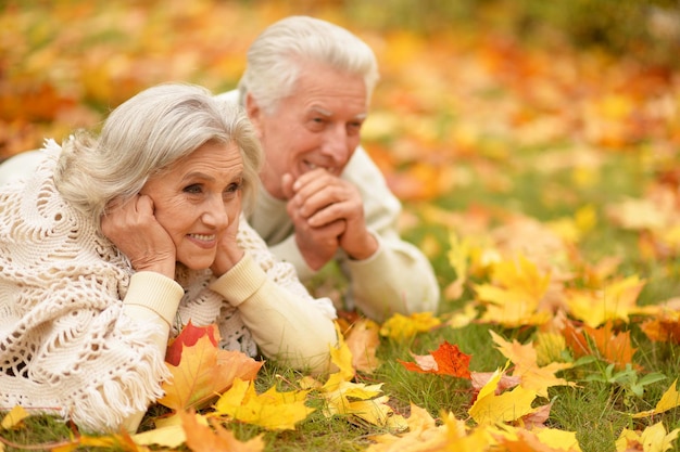 Hermosa pareja senior relajándose en el parque