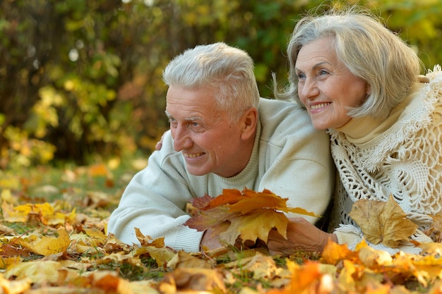 Hermosa pareja senior relajándose en el parque