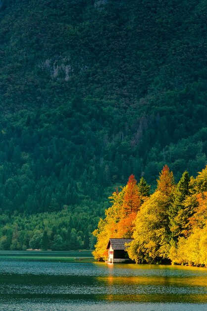 Una hermosa pequeña cabaña en el lago Bohinj en Eslovenia