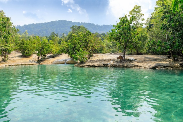 Hermosa piscina esmeralda cristalina, famoso lugar natural para nadar y destino turístico en Krabi, Tailandia