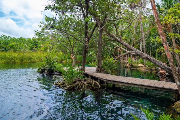 Hermosa piscina en medio de frondosos árboles verdes con columnas arquitectónicas y hamacas en un hotel resort de lujo