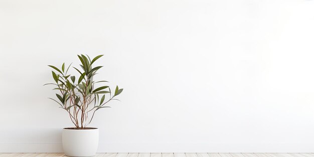 Una hermosa planta en maceta contra la pared blanca