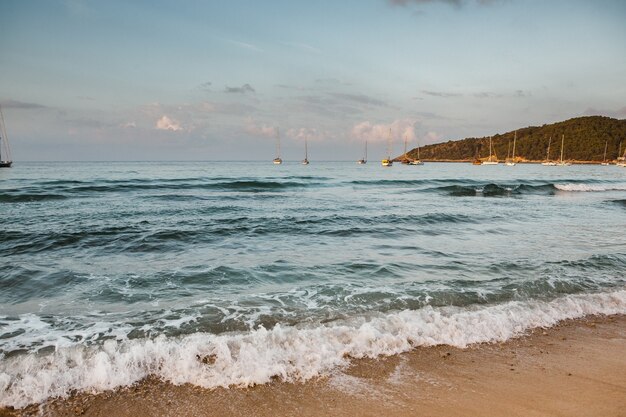 Hermosa playa con agua muy limpia y azul en el mar mediterráneo en la isla de Ibiza