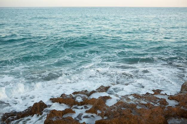 Foto hermosa playa con agua muy limpia y azul en el mar mediterráneo en la isla de ibiza