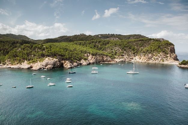 Hermosa playa con agua muy limpia y azul en el mar mediterráneo en la isla de Ibiza