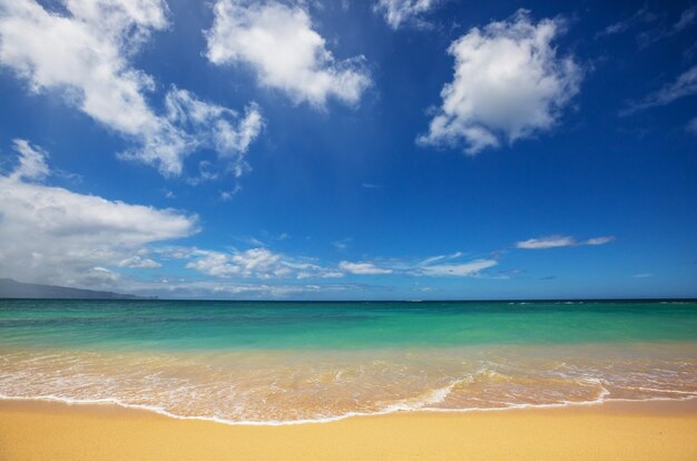 Hermosa playa de agua turquesa y arena amarilla.