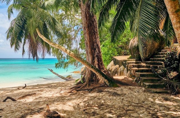 Hermosa playa de Anse Soleil en Seychelles