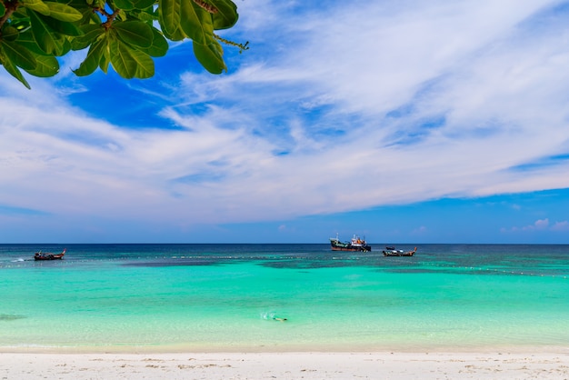 hermosa playa de arena blanca con un árbol en el mar tropical en la isla de lipe Tailandia