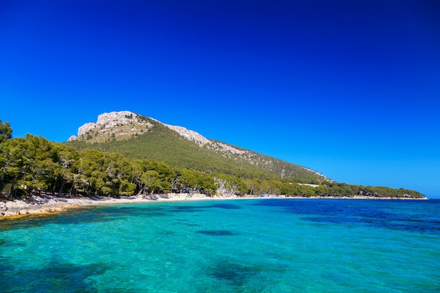 Hermosa playa Cala Pi de La Posada en Mallorca