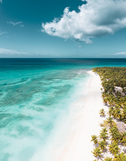 Hermosa playa caribeña en la isla Saona República Dominicana Vista aérea del idílico paisaje tropical de verano con palmeras verdes costa del mar y arena blanca