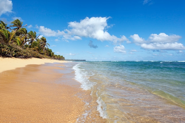 Hermosa playa caribeña con palmeras y cielo