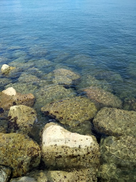 hermosa playa con coral en el punto central de verano makassar sulawesi del sur indonesia