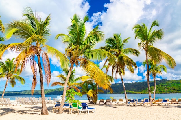 Hermosa playa de la isla de Cayo Levantado con palmeras. Samana, República Dominicana. Fondo de viajes de vacaciones.