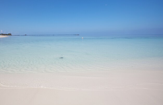 Hermosa playa de Maldivas.