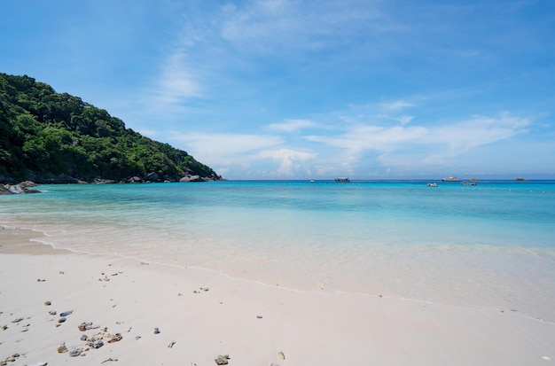 Hermosa playa y mar tropical con olas rompiendo en la orilla arenosa Archipiélago de la pequeña isla en el parque nacional de Similan Concepto de viaje y viaje de Tailandia Increíble isla en Phang nga Tailandia.