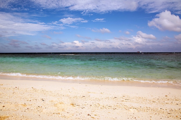 hermosa playa y mar tropical