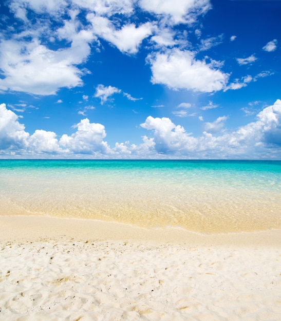 Foto hermosa playa y mar tropical