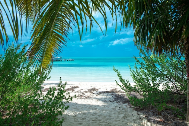 Hermosa playa y mar tropical