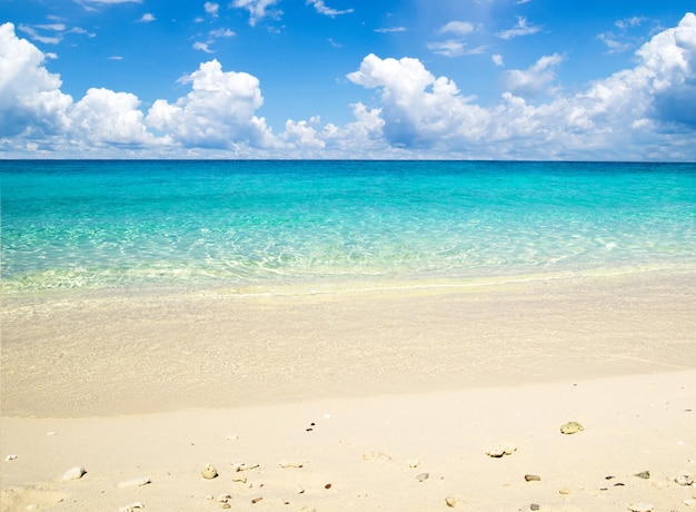 Hermosa playa y mar tropical