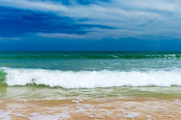 Hermosa playa y mar tropical