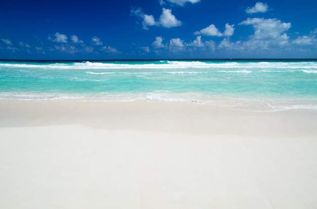 Hermosa playa y mar tropical