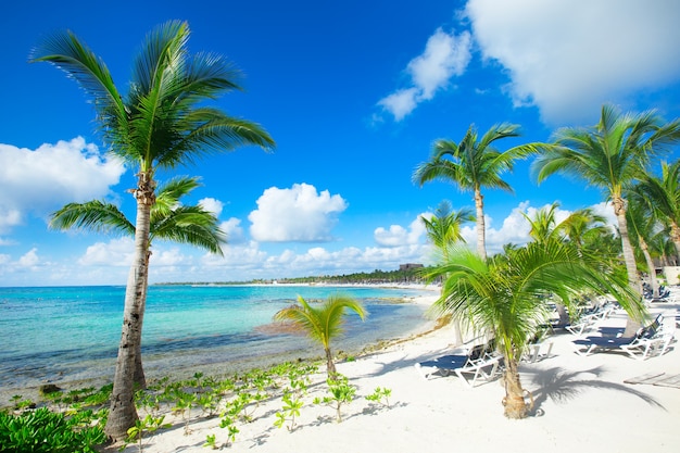 Hermosa playa y mar tropical