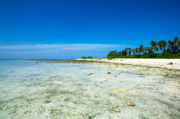 Hermosa playa y mar tropical