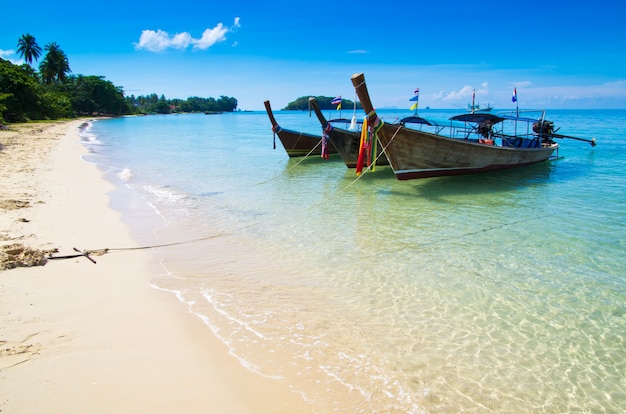 Hermosa playa y mar tropical