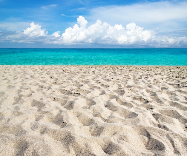 Hermosa playa y mar tropical